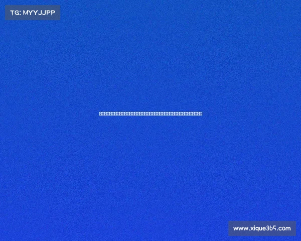 上海的体育赛事有哪些—上海年度体育盛宴涵盖足球篮球马拉松等多项赛事点燃城市运动热情