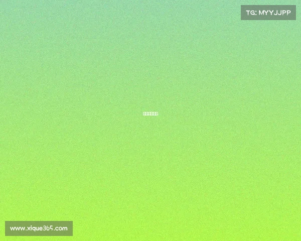 赛事赞助权益 赛事赞助权益